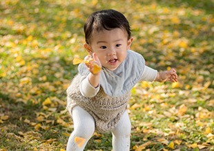 季節ごとのお得なプランあり